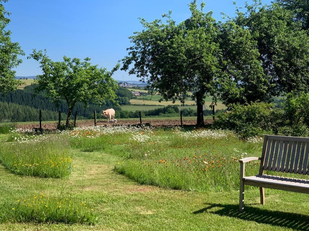 Апартаменты Urlaub Mit Hund Auf Dem Bauernhof Hofswald Euscheid Экстерьер фото