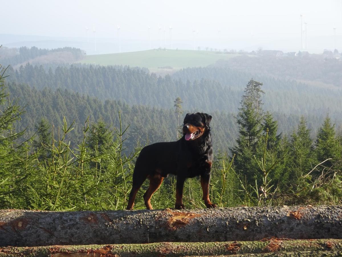 Апартаменты Urlaub Mit Hund Auf Dem Bauernhof Hofswald Euscheid Экстерьер фото